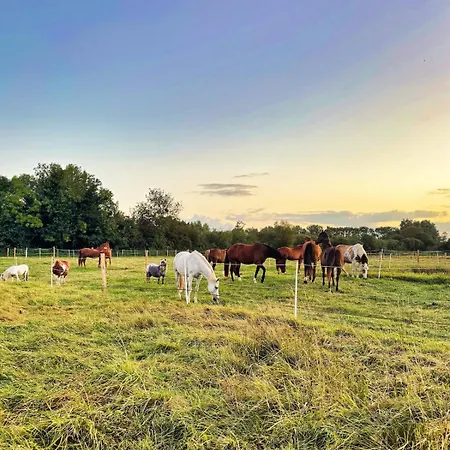 Holiday home Le Nid De L'ecurie - Cocon Au Calme, Proche Saint-Come-du-Mont